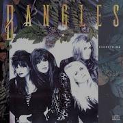 Some Dreams Come True The Bangles