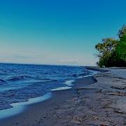Очень Душевная Песня Только Послушай Гитара Плачет Хит Шансона 2025