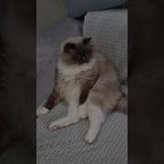 Как То Всё Не По Богатому