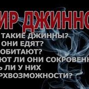 Мир Джинов