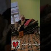 Домуло Хикматулло