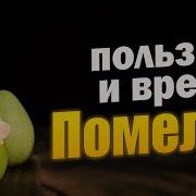 Расскажи О Том Как Состояние Помело Нас