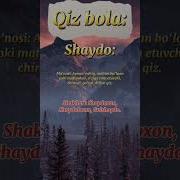 Shaydo Shaydo