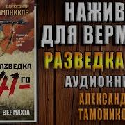 Александр Тамоников Разведка 41