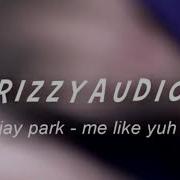 Drizzy Audios