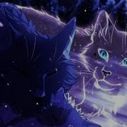 Коты Воители Спулая Мулая