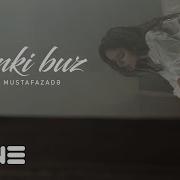 Elvina Sanki Buz