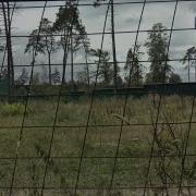 Переделкино Жизнь За Забором