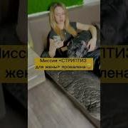 Весёлый Стриптиз
