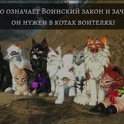 Коты Воители Зачем