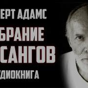 Сборник Сатсангов Роберта Адамса