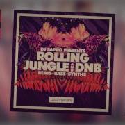 Dj Sappo Presents Rolling Jungle Dnb Royalty Free Samples Loops