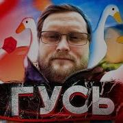 Куплинов Гусь Ремикс