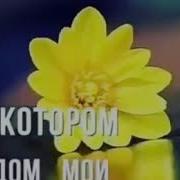 Нашид Про Детей