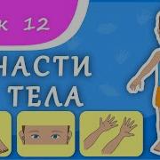 Учим Части Тела Урок 12 Части Тела Для Малышей Развивающее Видео Для Детей Раннее Развитие