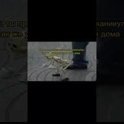 Ну Все Пиздец