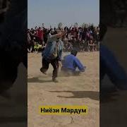 Парфизи Ховалинги
