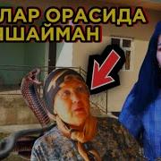 Илон Ёги Ялаган Аёрэкансанбилсам