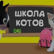 Кот Малыш И Кошечка Мурка Идут В Кошачью Школу Уроки Для Котов Новый Челлендж Для Котенка