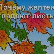 Почему Почему Жёлтый Лист Летает