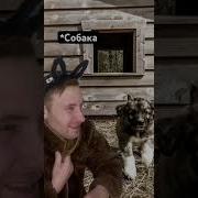 Зловещая Музыка Германии