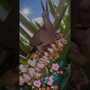 Зов Любви В Нашей Жизни Самое Прекрасное