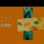 Loving Caliber Hallman Feat Johanna Dahl Move Your Body Hallman Remix