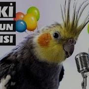 I Yi Ki Doğdun Yağmur I Sme Özel Doğum Günü Kutlama