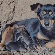 Встречаемся Редко И Где То Тайком Мы Ловим Мгновения Нашего Счастья