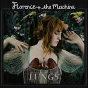 Florence And The Machine My Boy Builds Coffins