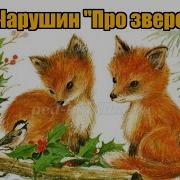 Чарушин Рассказы О Животных