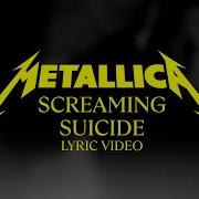 Metallica Screaming Suicide Audio