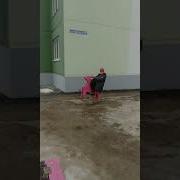 Бегает По Полю Весело Кабанчик Тренд