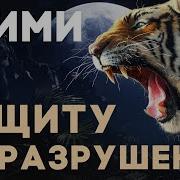 Прими Защиту От Разрушения Игорь Андреев