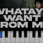 Whataya Want From Me Piano