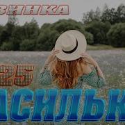 Васильки Виктор Андрашунов