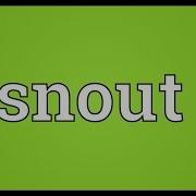 Snout