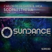 Scopaesthesia Emre Colak Remix