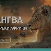 Документальные Фильмы Про Животных