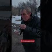 Огненное Дыхание Перевод