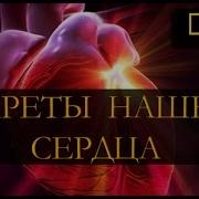 Секреты Нашего Сердца National Geographic Hd