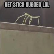 Stick Bugged