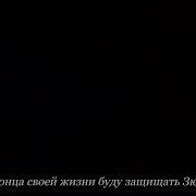 Изумрудный Феникс