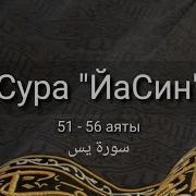 Сура Есин 55 60