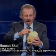 Это Сверхъестественно Сид Рот И А Марзулли О Нефилимах