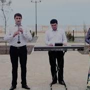 Гр Созвездие Зи Яр