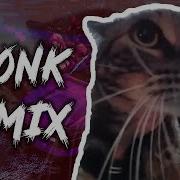 Cat At Door Phonk Remix