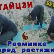 Разминка Перед Растяжкой Малый Лев Мягкая Спина И Поклон Земле Тайцзи