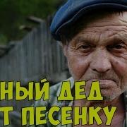 Пьяный Дед Поет Песню