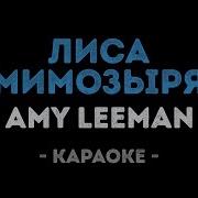 Караоке Песня Мимозыря